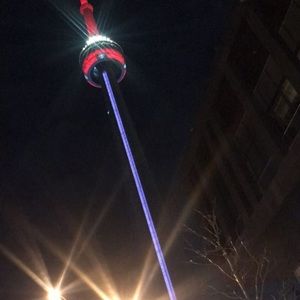 Meet your Posher, Riley